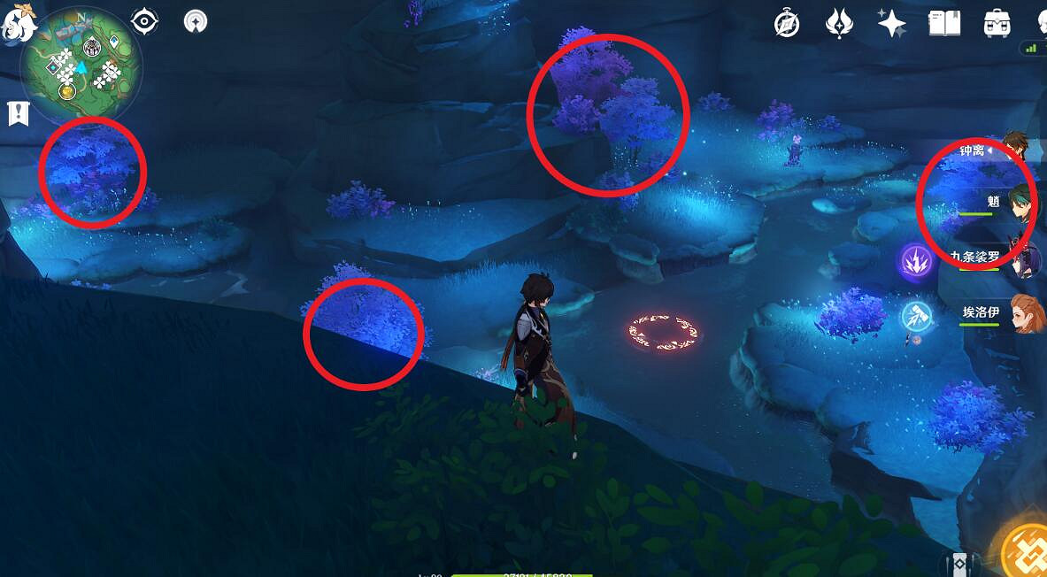 《原神》夢見木在哪砍伐？禦伽木和孔雀木位置分享