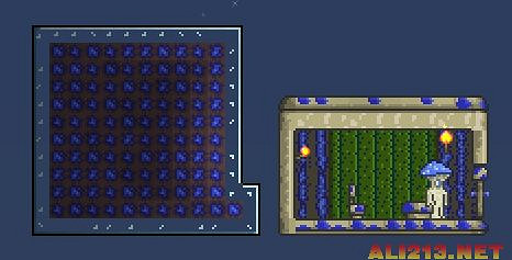 《泰拉瑞亞》蘑菇人入住條件