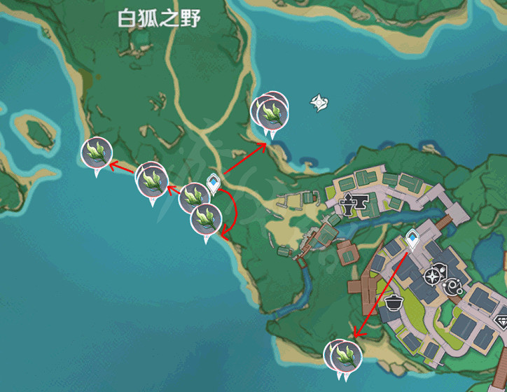 《原神》海草哪裡多？全282個海草採集路線分享