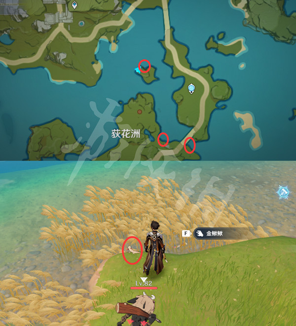 《原神》鰍鰍在哪抓?鰍鰍捕獲位置一覽 《原神》鰍鰍在哪抓?鰍鰍捕獲位置一覽