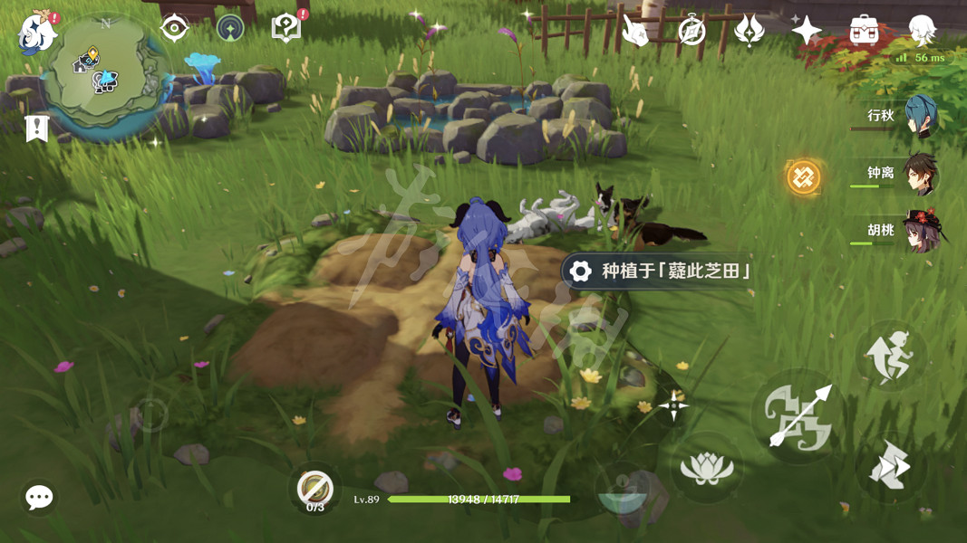 《原神》夢裡生花怎麽種花？夢裡生花活動第一天玩法分享