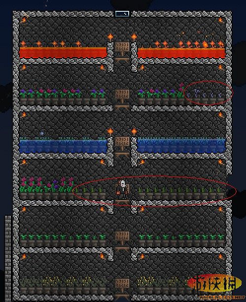 《泰拉瑞亞》各種植物種植方法
