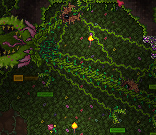 《泰拉瑞亞》專家模式全部增強點分析 增強了哪些地方