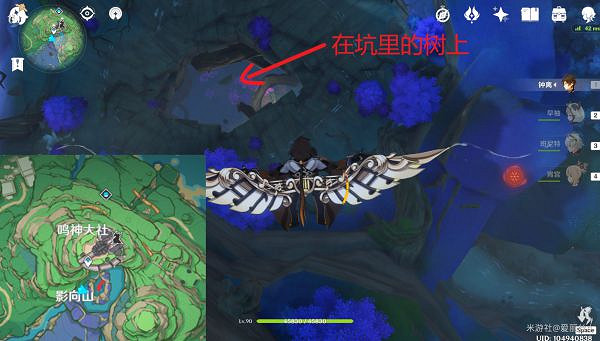 《原神》鬼兜蟲哪裡多?鬼兜蟲收集點位介紹 《原神》鬼兜蟲哪裡多?鬼兜蟲收集點位介紹