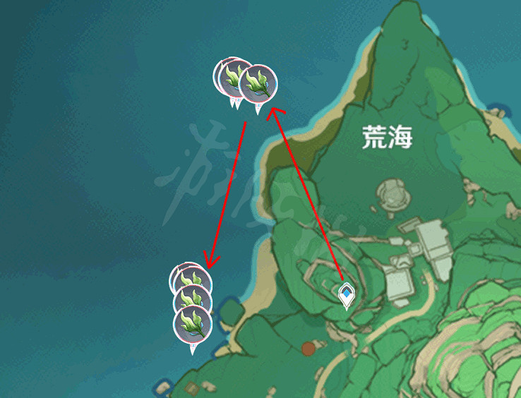 《原神》海草哪裡多？全282個海草採集路線分享
