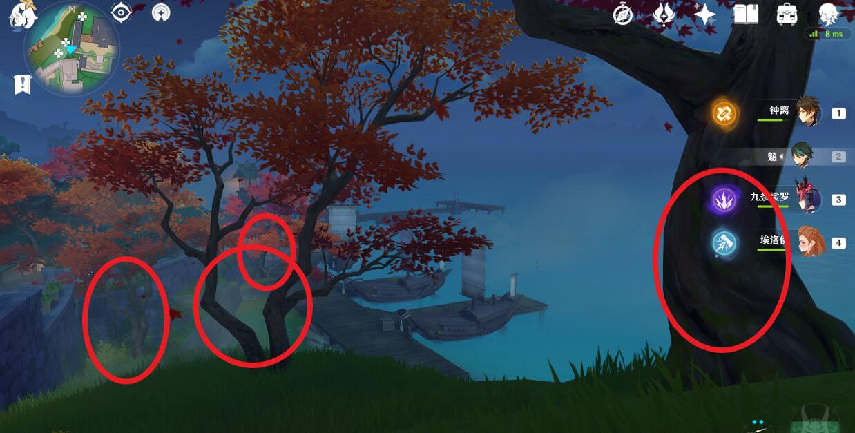 《原神》夢見木在哪砍伐？禦伽木和孔雀木位置分享