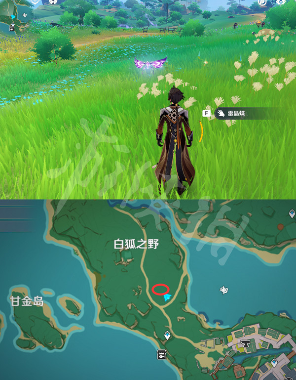 《原神》晶蝶在哪捕捉?全種類晶蝶捕捉位置介紹 《原神》晶蝶在哪捕捉?全種類晶蝶捕捉位置介紹