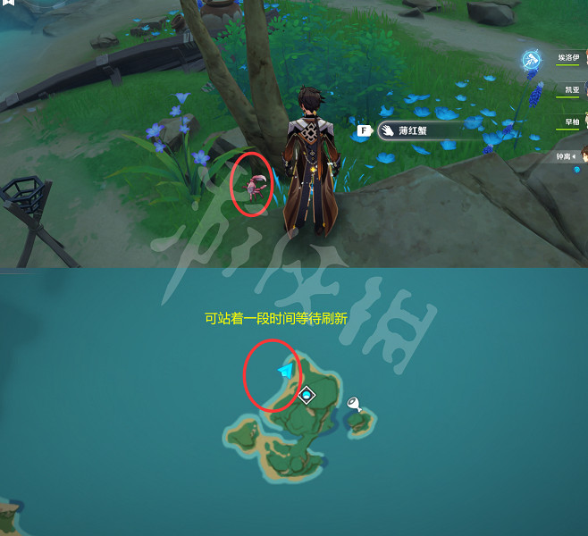 《原神》螃蟹在哪捕捉?全種類螃蟹捕捉位置一覽 《原神》螃蟹在哪捕捉?全種類螃蟹捕捉位置一覽