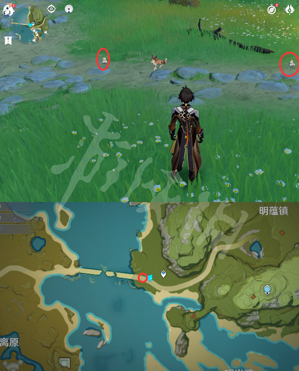 《原神》禽鳥在哪抓?全禽鳥捕捉位置一覽 《原神》禽鳥在哪抓?全禽鳥捕捉位置一覽