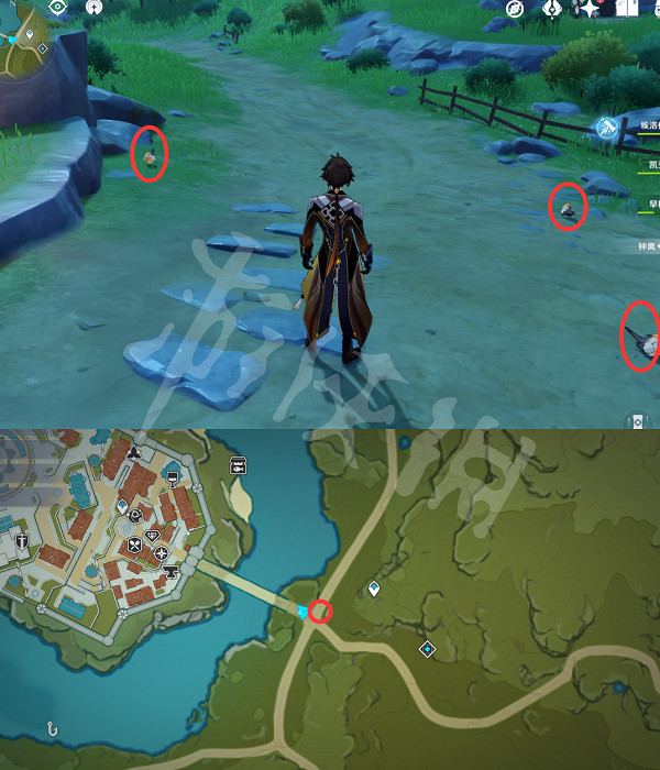 《原神》禽鳥在哪抓?全禽鳥捕捉位置一覽 《原神》禽鳥在哪抓?全禽鳥捕捉位置一覽