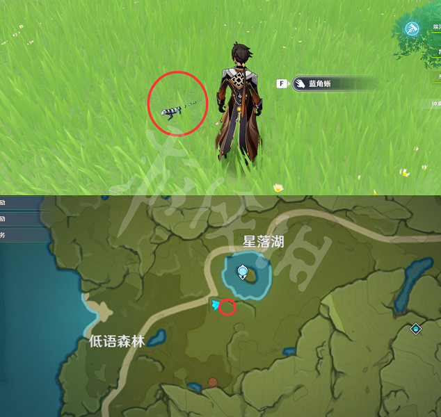 《原神》蜥蜴在哪抓?全種類蜥蜴捕捉位置介紹 《原神》蜥蜴在哪抓?全種類蜥蜴捕捉位置介紹