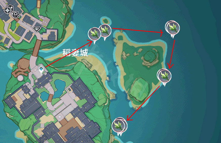 《原神》海草哪裡多？全282個海草採集路線分享