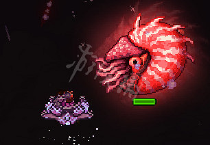 《泰拉瑞亞》恐懼鸚鵡螺怎麽打 恐懼鸚鵡螺打法介紹