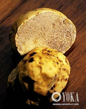 《泰拉瑞亞》遊戲背後的文化內涵及人文背景解析 《泰拉瑞亞》遊戲背後的文化內涵及人文背景解析