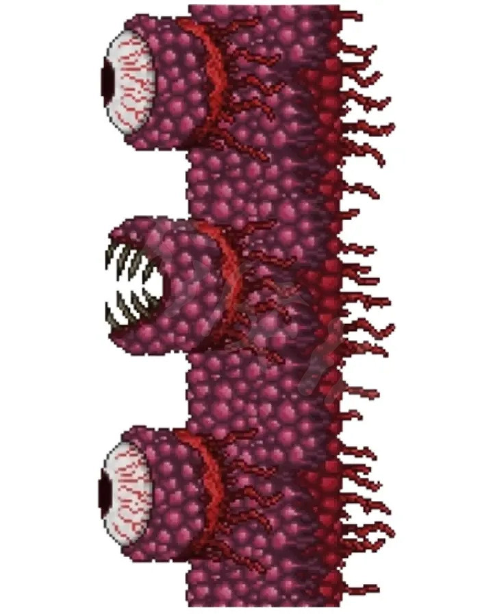 《泰拉瑞亞》如何召喚肉山？肉山召喚方法介紹