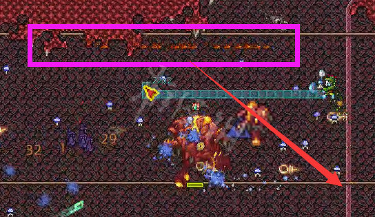 《泰拉瑞亞》災厄血肉宿主怎麽打 災厄血肉宿主打法介紹 《泰拉瑞亞》災厄血肉宿主怎麽打 災厄血肉宿主打法介紹