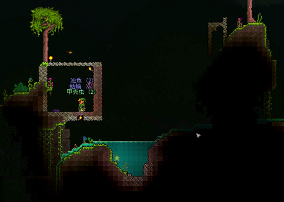 《泰拉瑞亞》快速獲取高級魚餌方法一覽 《泰拉瑞亞》快速獲取高級魚餌方法一覽