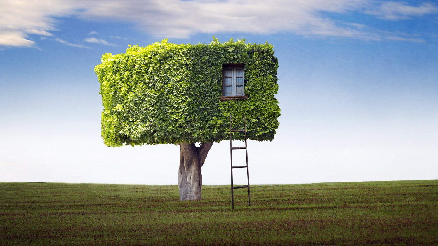 《泰拉瑞亞》新手建築教學 從零開始帶你成為建家大佬