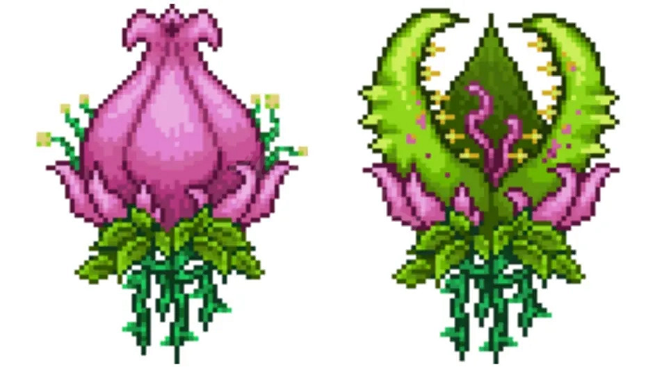 《泰拉瑞亞》世紀之花如何召喚?世紀之花召喚方法分享 《泰拉瑞亞》世紀之花如何召喚?世紀之花召喚方法分享