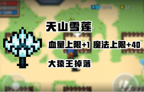 《元氣騎士》天山雪蓮是永久的嗎 天山雪蓮使用介紹