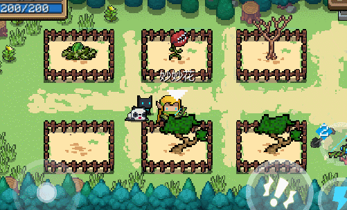 《元氣騎士》植物大全 元氣騎士全植物種子獲取方式匯總