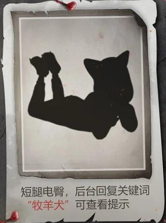 《和平精英》神秘圖鑒皮膚是什麽 神秘圖鑒皮膚介紹