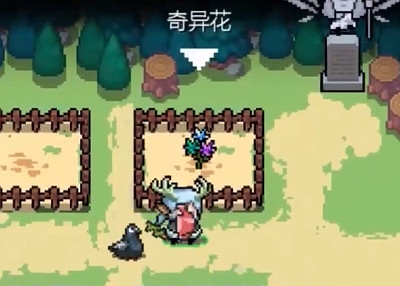 《元氣騎士》植物大全 元氣騎士全植物種子獲取方式匯總 《元氣騎士》植物大全 元氣騎士全植物種子獲取方式匯總