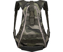 《和平精英》二級包怎麽樣 二級包圖鑒