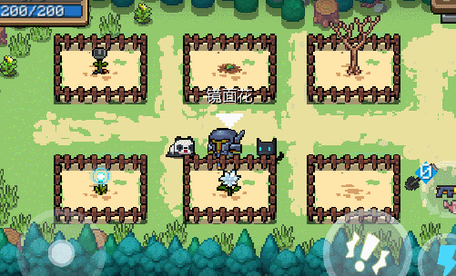 《元氣騎士》植物大全 元氣騎士全植物種子獲取方式匯總