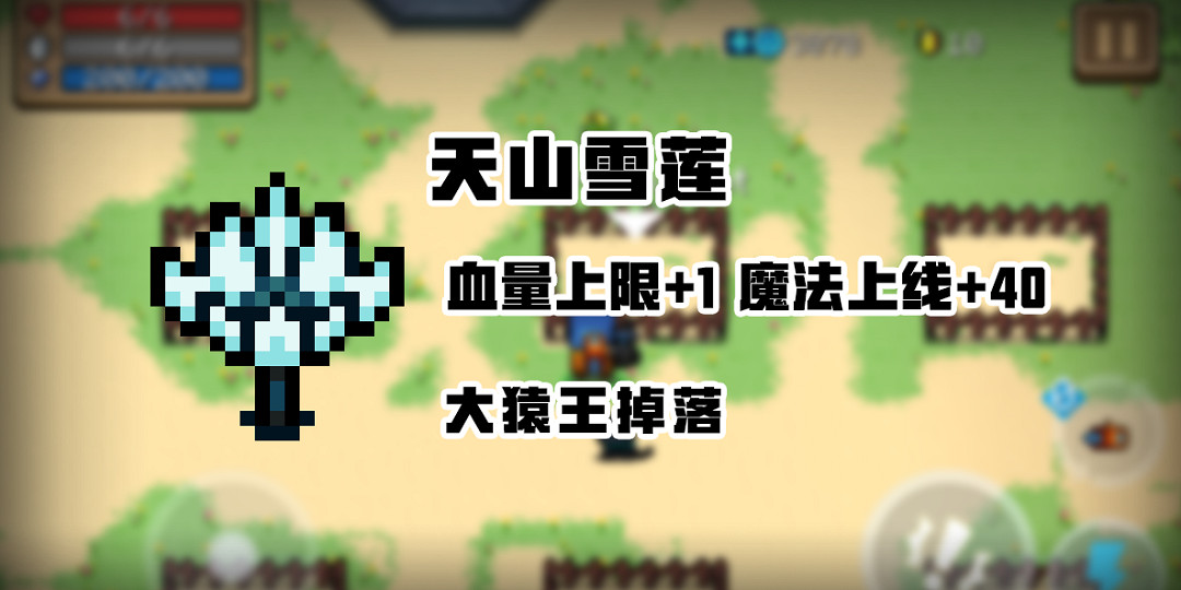 《元氣騎士》暑期版本新增植物 曼珠沙華天山雪蓮黃金蘑菇介紹