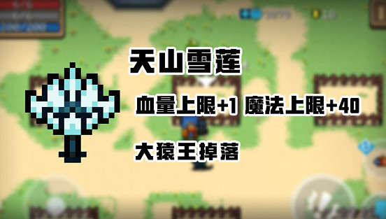 《元氣騎士》天山雪蓮有什麽用 天山雪蓮作用介紹