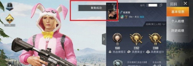 《和平精英》id在哪裡看 id查看方法介紹 《和平精英》id在哪裡看 id查看方法介紹