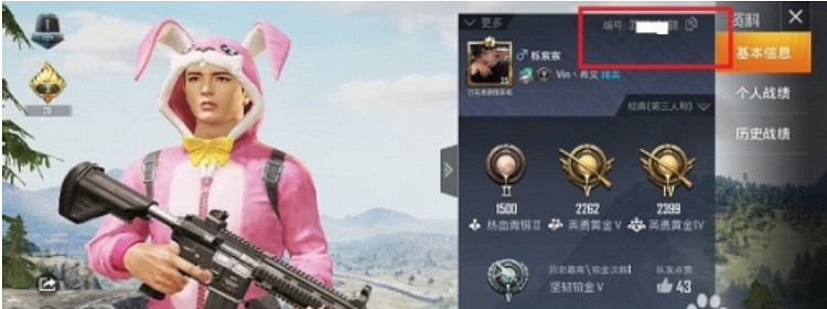 《和平精英》id在哪裡看 id查看方法介紹 《和平精英》id在哪裡看 id查看方法介紹