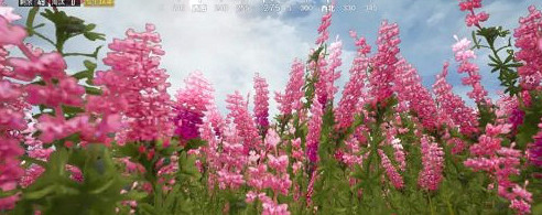 《和平精英》山谷地圖網紅打卡在哪裡 山谷地圖網紅打卡點介紹 《和平精英》山谷地圖網紅打卡在哪裡 山谷地圖網紅打卡點介紹