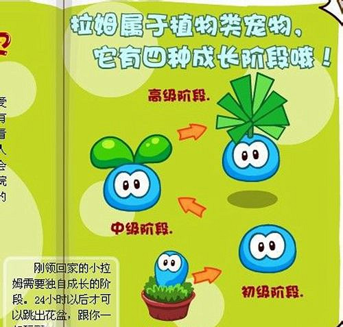 《摩爾莊園手遊》怎麽玩 玩法介紹