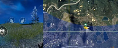 《和平精英》雙生樹在哪個位置 雙生樹位置一覽 《和平精英》雙生樹在哪個位置 雙生樹位置一覽