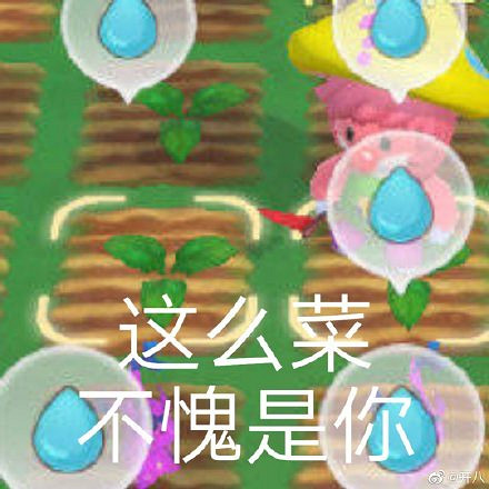 《摩爾莊園手遊》表情包分享 搞笑表情包大全 《摩爾莊園手遊》表情包分享 搞笑表情包大全