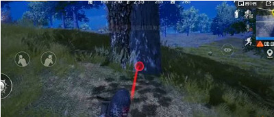 《和平精英》雙生樹在哪個位置 雙生樹位置一覽 《和平精英》雙生樹在哪個位置 雙生樹位置一覽