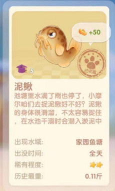 《摩爾莊園手遊》泥鰍出沒時間 泥鰍幾點能釣