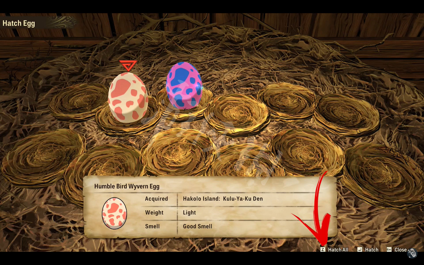 《魔物獵人物語2》怎麽孵蛋？遊戲孵蛋方法介紹