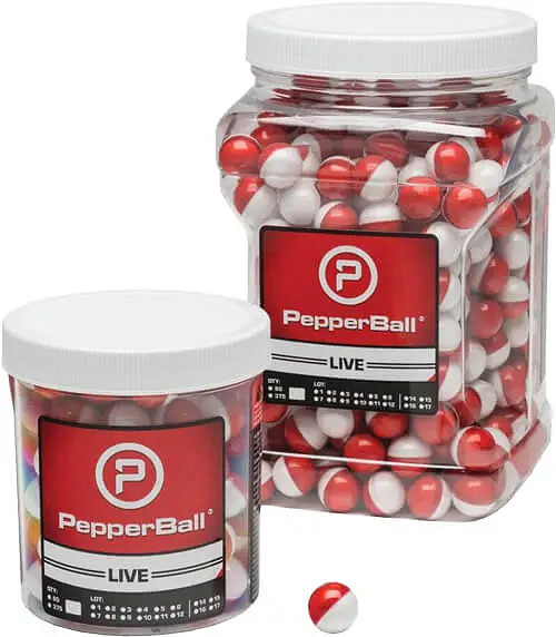 《嚴陣以待》一月更新內容是什麽？一月更新內容前瞻分享