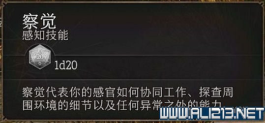 《柏德之門3》新手教學圖文詳解 全職業種族特性介紹【完結】