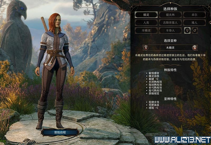 《柏德之門3》新手教學圖文詳解 全職業種族特性介紹【完結】