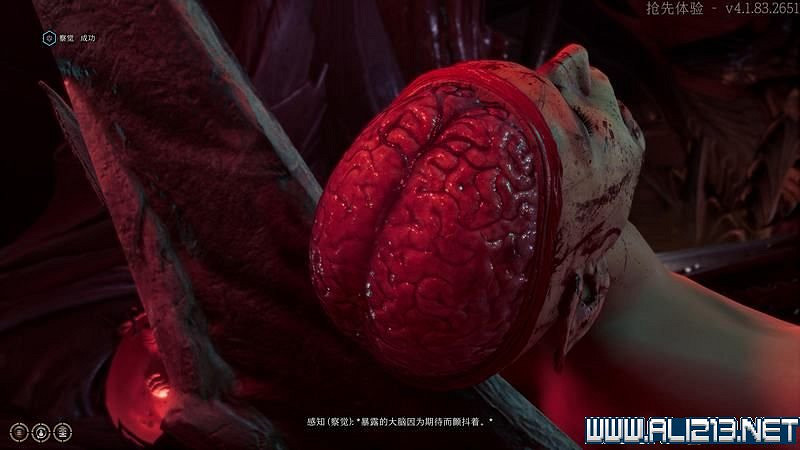 《柏德之門3》新手教學圖文詳解 全職業種族特性介紹【完結】