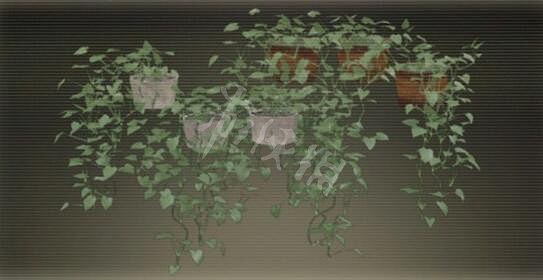 《緋紅結繫》禮物位置與圖鑒大全 禮物怎麽獲得？