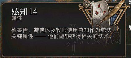 《柏德之門3》角色屬性有哪些？角色屬性資料分析