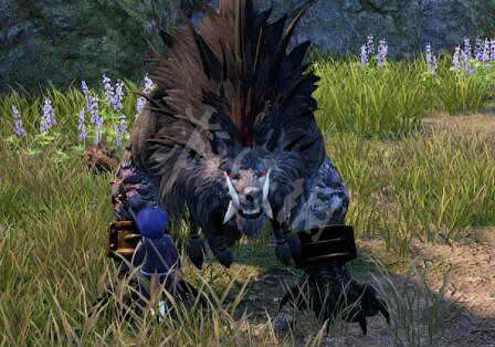 《神佑釋放》世界Boss位置分布大全 世界Boss位置在哪? 《神佑釋放》世界Boss位置分布大全 世界Boss位置在哪?