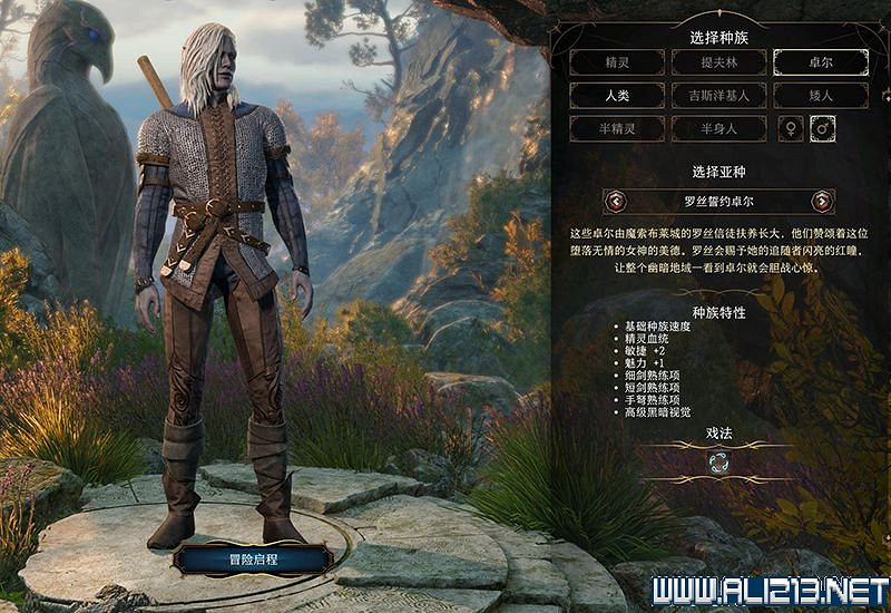 《柏德之門3》新手教學圖文詳解 全職業種族特性介紹【完結】 《柏德之門3》新手教學圖文詳解 全職業種族特性介紹【完結】