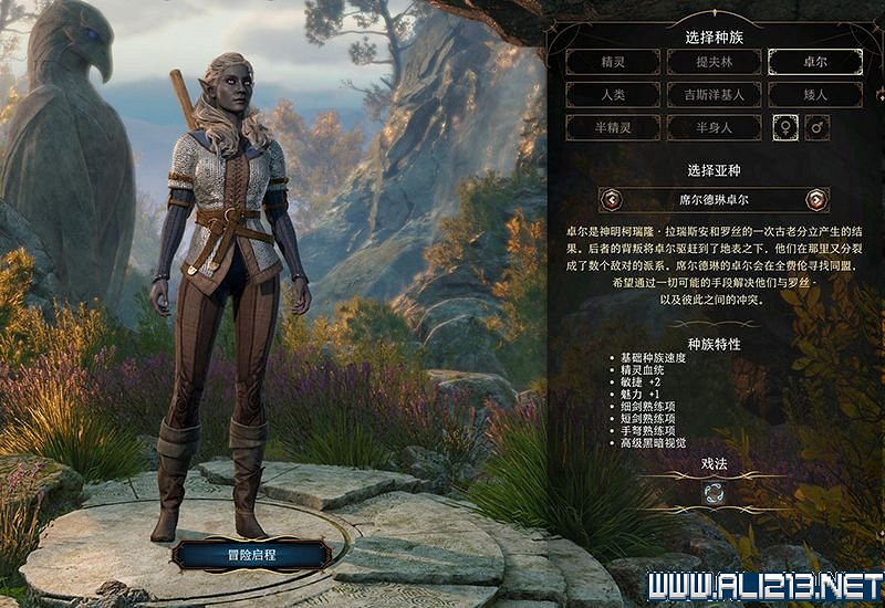 《柏德之門3》新手教學圖文詳解 全職業種族特性介紹【完結】