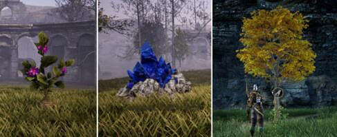 《神佑釋放》怎麽採集?採集玩法介紹 《神佑釋放》怎麽採集?採集玩法介紹